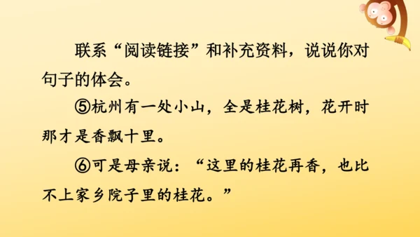 3 桂花雨   课件