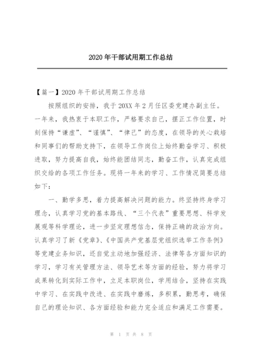 2020年干部试用期工作总结.docx