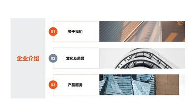 单色扁平3项企业介绍