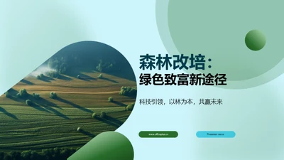 森林改培：绿色致富新途径