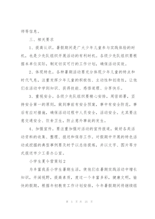小学生夏令营策划5篇.docx