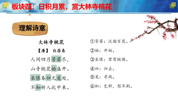 统编版三年级语文下册大单元教学第八单元教学课件-