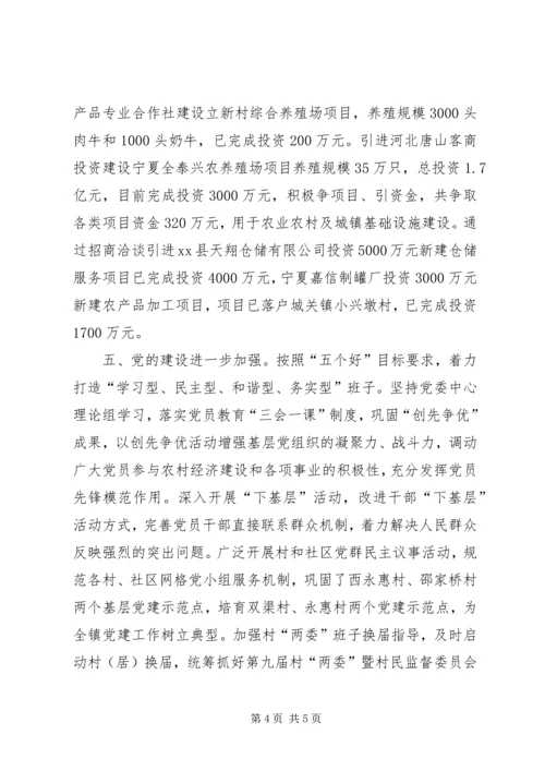 乡镇年度政务工作总结.docx