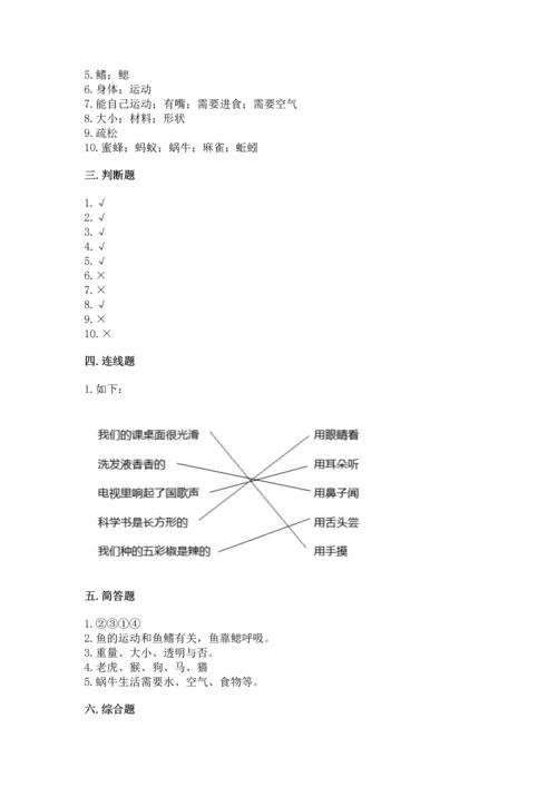教科版一年级下册科学期末测试卷附答案（轻巧夺冠）.docx