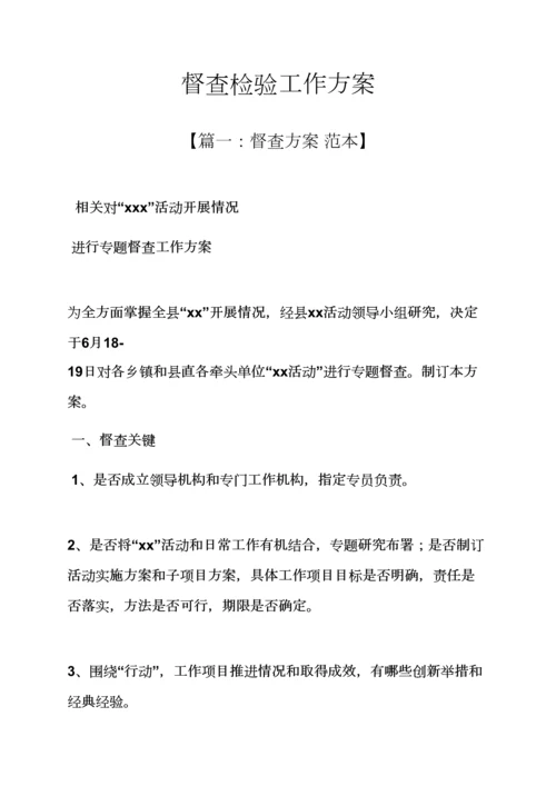 活动专项方案之督查检查工作专项方案.docx