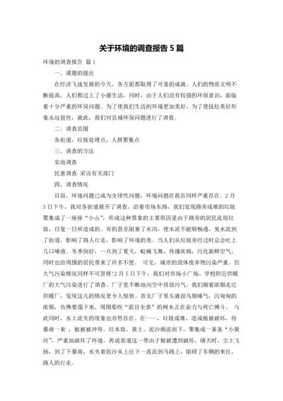 关于环境的调查报告5篇.docx