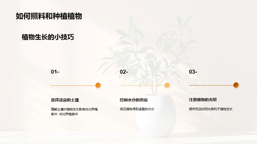 揭秘植物生长奇观