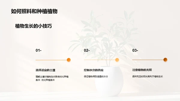 揭秘植物生长奇观