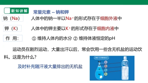 人教版 初化 九下 12.2 化学元素与人体健康（18页ppt）