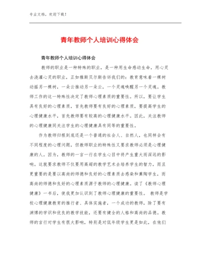 2024青年教师个人培训心得体会例文21篇.docx