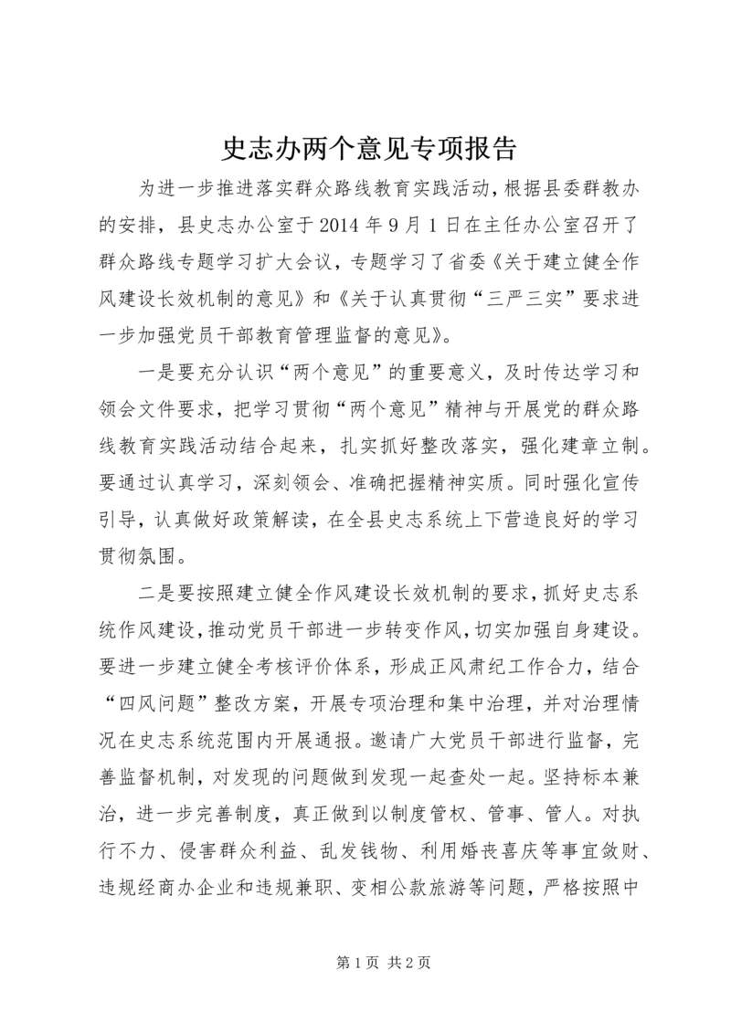 史志办两个意见专项报告.docx