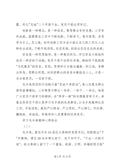 学习毛丰美精神心得体会.docx