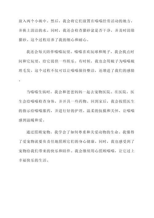 小学做家务感言