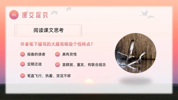 粉色简约八年级语文下册大雁归来PPT模板宣传PPT动态PP