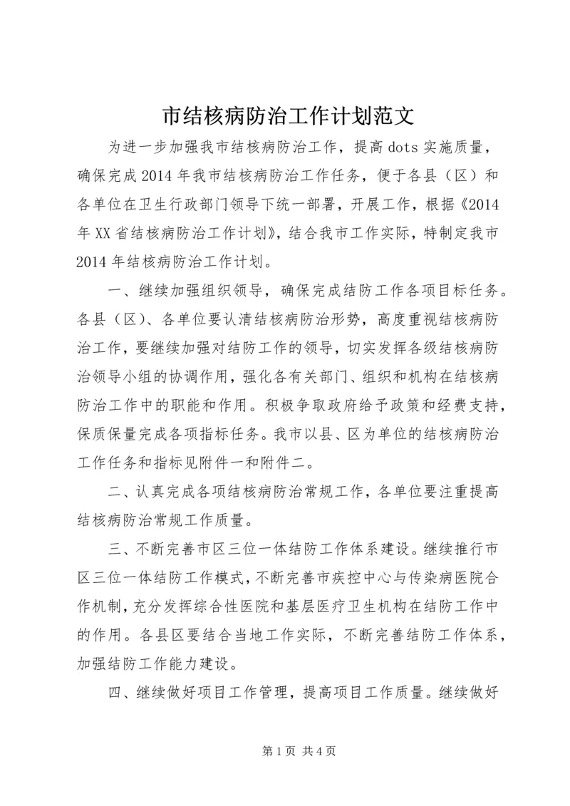 市结核病防治工作计划范文.docx