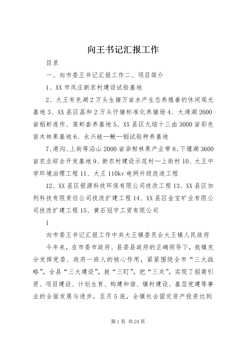 向王书记汇报工作 (6).docx