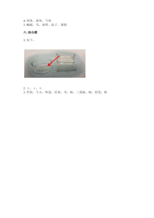 教科版一年级下册科学期末测试卷及参考答案ab卷.docx