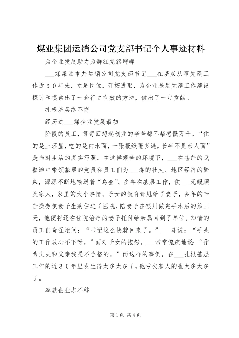 煤业集团运销公司党支部书记个人事迹材料 (2).docx