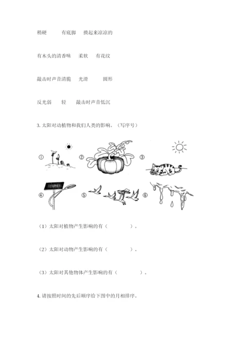 教科版二年级上册科学期末测试卷（各地真题）.docx