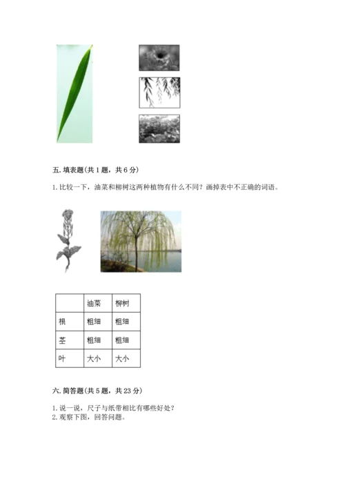 教科版科学一年级上册期末测试卷含完整答案（历年真题）.docx