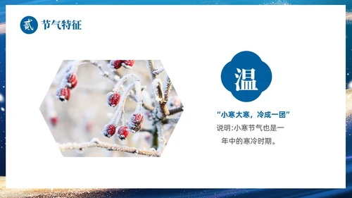 蓝色鎏金风中国二十四传统节气之小寒介绍PPT