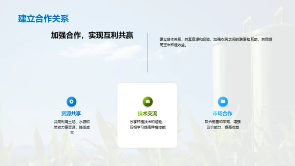 科技农业，玉米新纪元