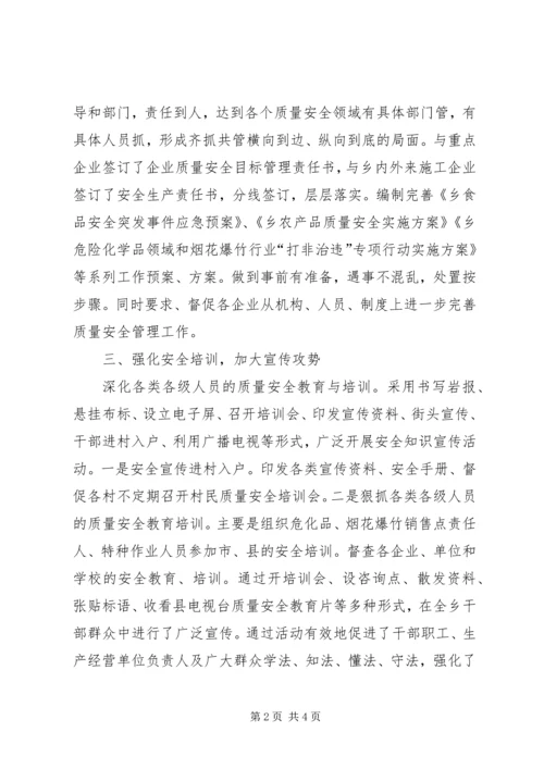 乡镇年度质量安全工作总结.docx