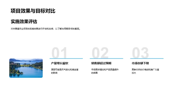 季度农业项目剖析