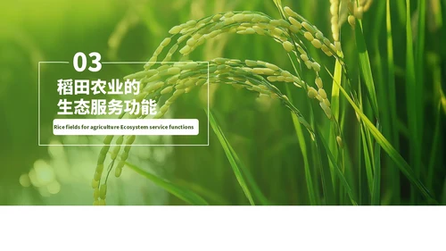 浅绿色简约风农业开题答辩PPT模板