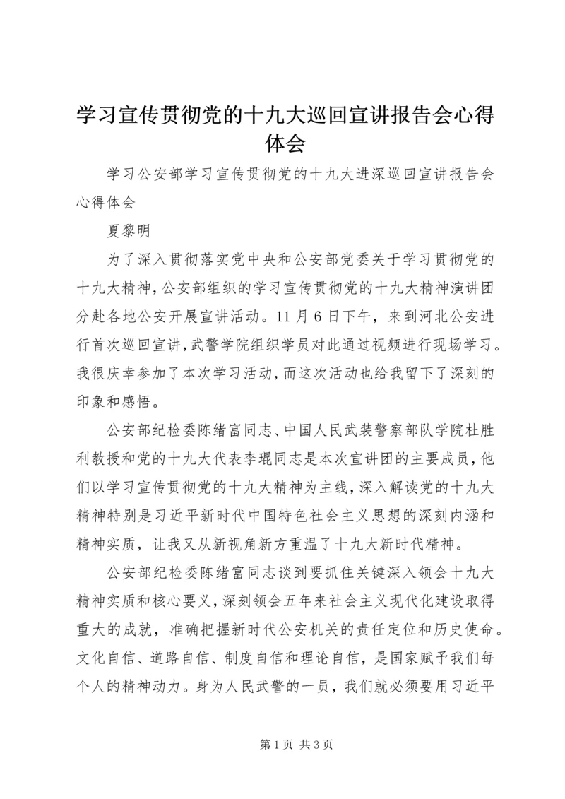 学习宣传贯彻党的十九大巡回宣讲报告会心得体会.docx