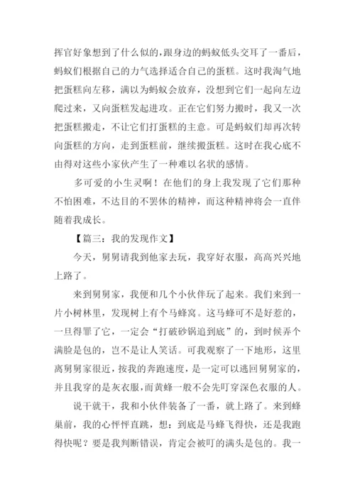 我的发现优秀作文500字.docx