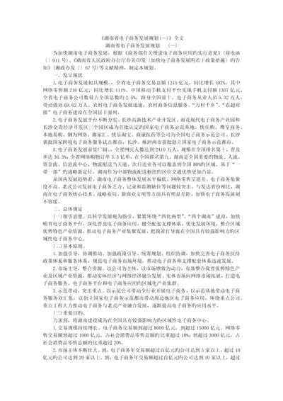 湖南省电子商务发展规划.docx