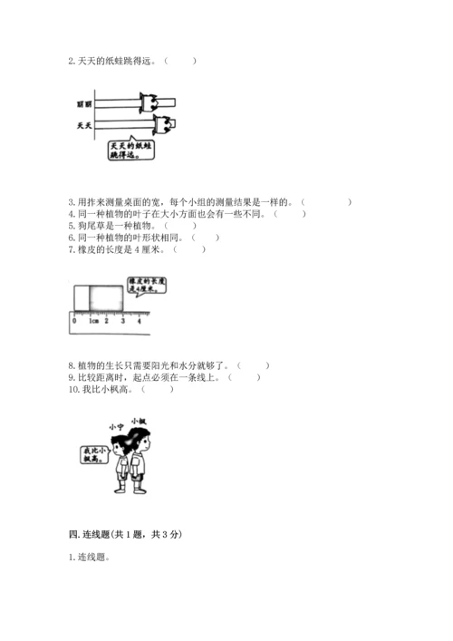 教科版一年级上册科学期末测试卷【培优】.docx
