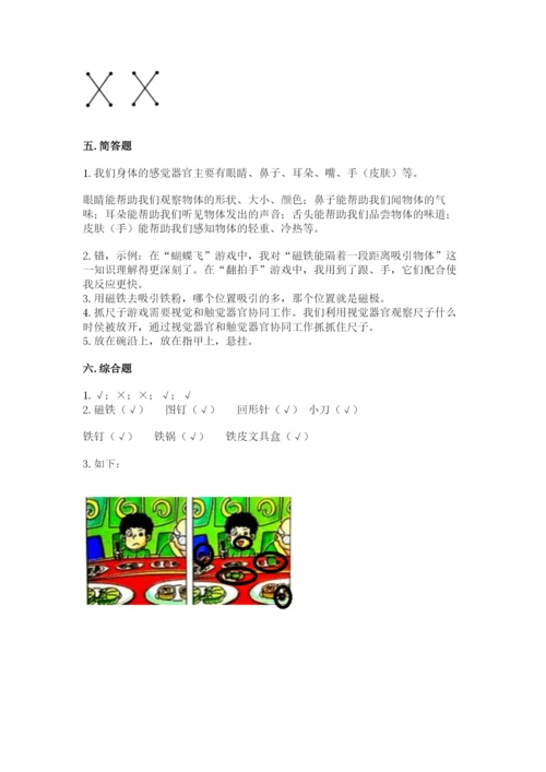 教科版二年级下册科学期末测试卷精品（基础题）.docx