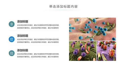 医疗细菌病毒微生物细胞组织动态ppt模板