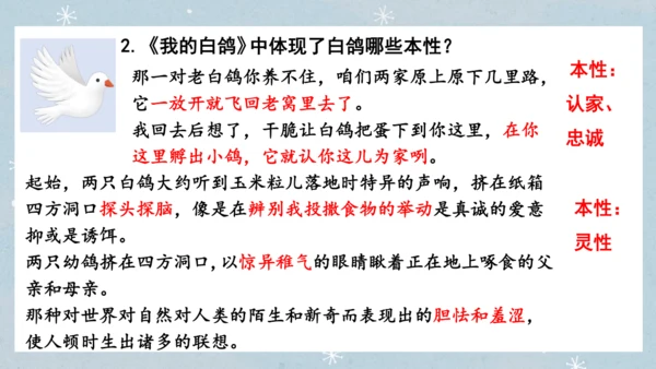 七年级语文上册第五单元  人与动物（大单元教学） 课件(51张PPT)