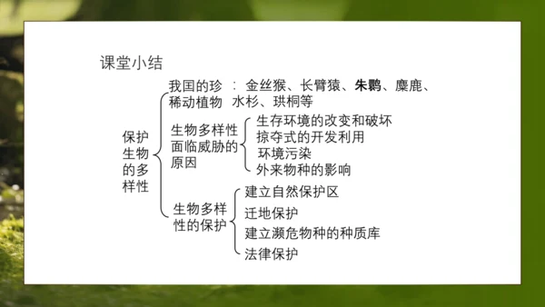 人教版生物八年级上册6.3《保护生物的多样性》课件(共27张PPT)