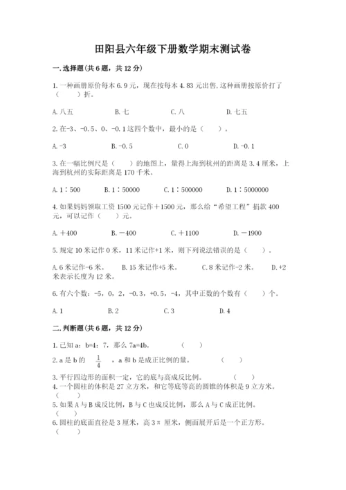 田阳县六年级下册数学期末测试卷及1套参考答案.docx