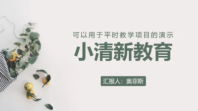 素雅简约小清新灰色PPT模板