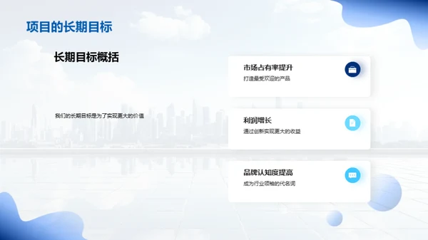 新项目战略与实践