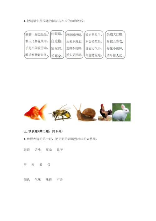 教科版一年级下册科学期末测试卷（轻巧夺冠）.docx