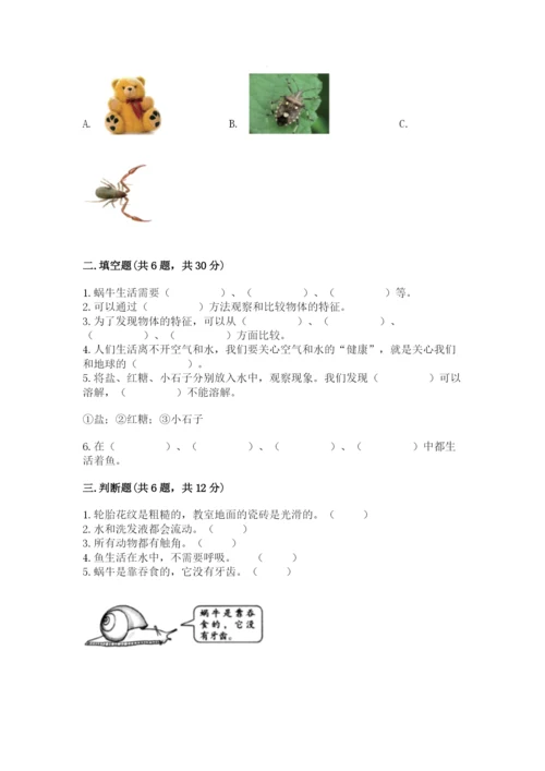 教科版小学科学一年级下册期末测试卷及参考答案【基础题】.docx
