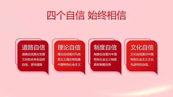 红色党支部党员代表大会工作总结PPT