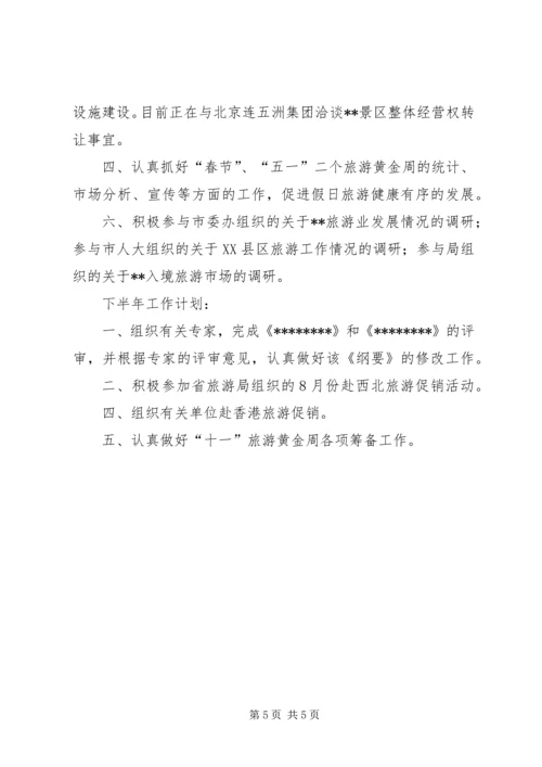 市旅游局上半年工作总结和下半年工作计划 (8).docx