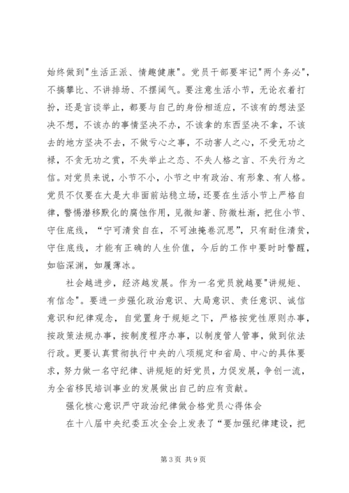 强化核心意识严守政治纪律做合格党员心得体会.docx