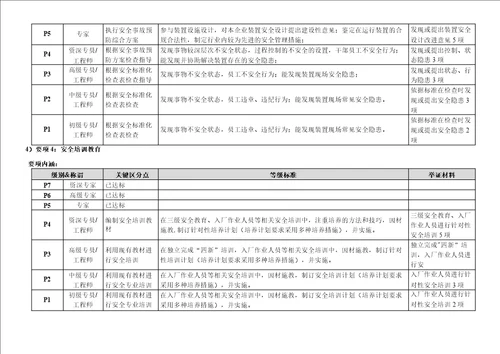 “EHS安全P序列任职资格等级标准   修改技能标准版1
