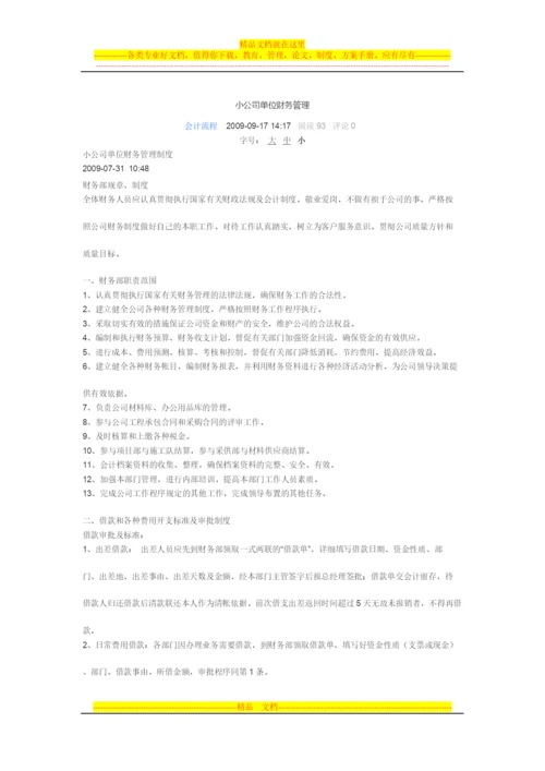 小公司单位财务管理.docx