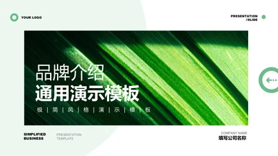 绿色极简品牌介绍通用PPT演示模板