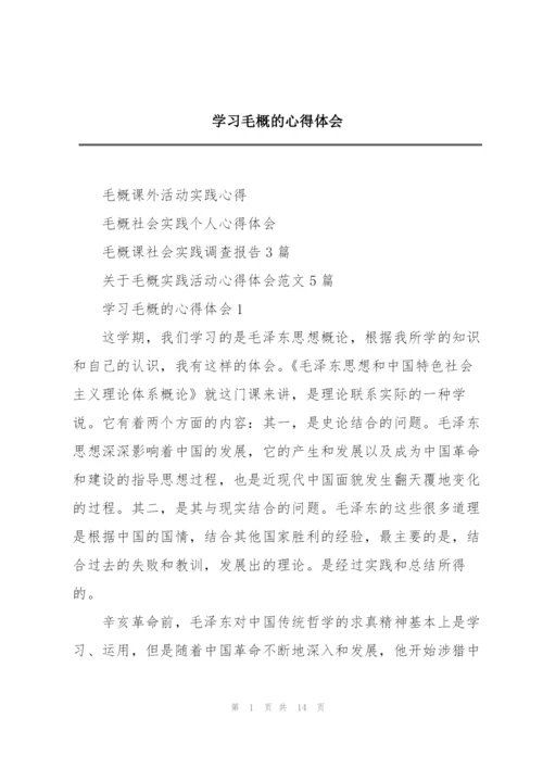 学习毛概的心得体会.docx