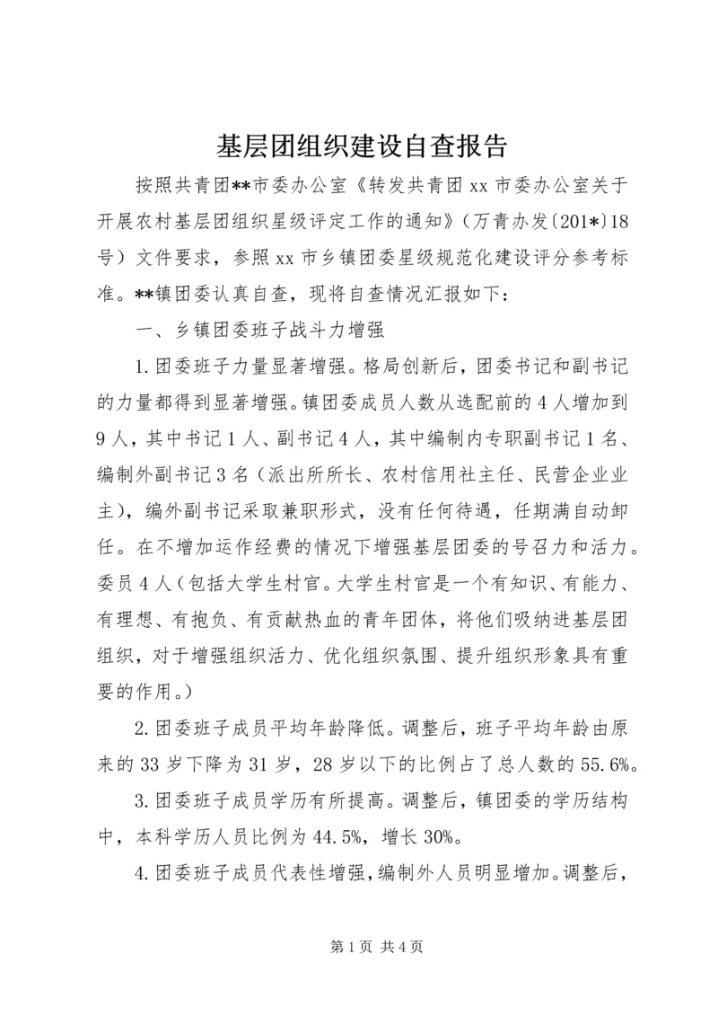 基层团组织建设自查报告 (4).docx